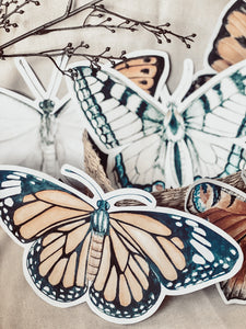 LARGE BUTTERFLY CUT OUTS