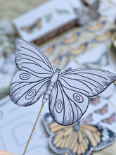 Load image into Gallery viewer, BUTTERFLY  STUDY UNIT
