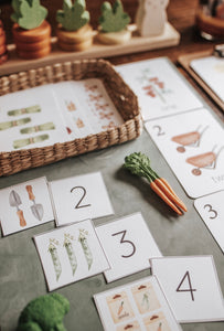 DISCOVER THE GARDEN MORNING BASKET