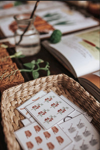 DISCOVER THE GARDEN MORNING BASKET