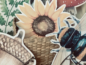 NATURE CUT OUTS