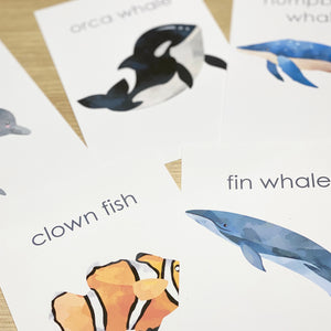 OCEAN ANIMAL FLASH CARDS