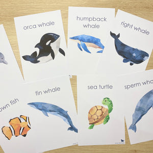 OCEAN ANIMAL FLASH CARDS