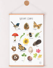 Load image into Gallery viewer, NATURE FINDS PRINT
