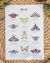 Load image into Gallery viewer, MOTH SPECIES NATURE PRINT
