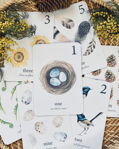 NATURE NUMBER CARDS