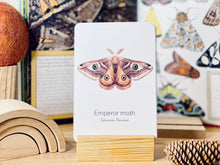 Load image into Gallery viewer, MOTH SPECIES CARDS
