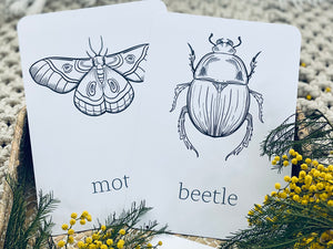 BLACK AND WHITE MINIBEAST CARDS