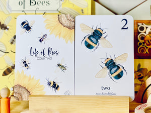 BEE NUMBER FLASH CARDS
