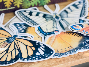 LARGE BUTTERFLY CUT OUTS