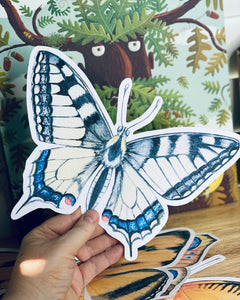 LARGE BUTTERFLY CUT OUTS