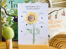 Load image into Gallery viewer, ANATOMY OF A SUNFLOWER
