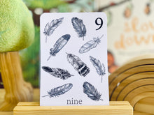 Load image into Gallery viewer, BLACK AND WHITE NATURE NUMBER CARDS
