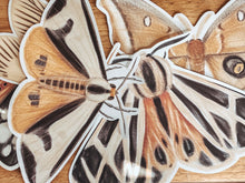Load image into Gallery viewer, LARGE MOTH CUT OUTS

