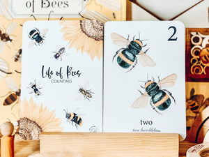 BEE NUMBER FLASH CARDS