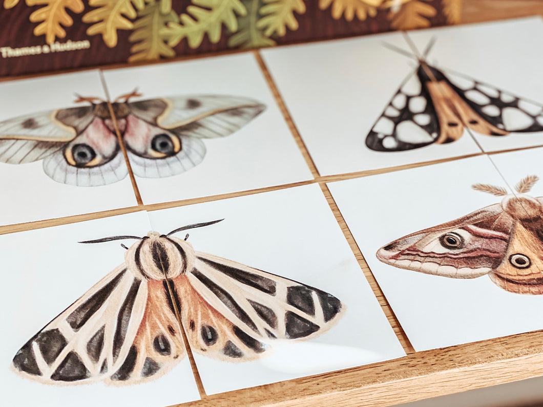 MOTH MATCHING PUZZLES