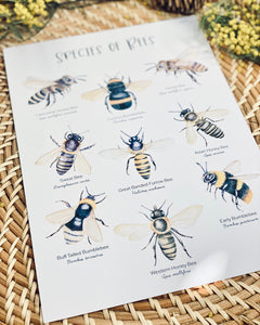 BEE SPECIES PRINT