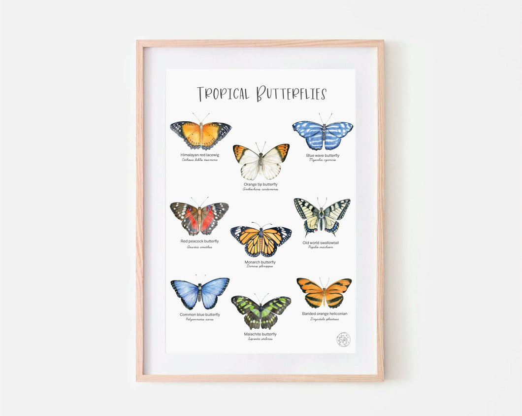 TROPICAL BUTTERFLY PRINT