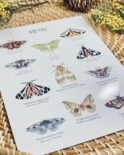 Load image into Gallery viewer, MOTH SPECIES NATURE PRINT
