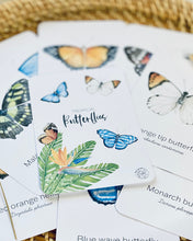 Load image into Gallery viewer, TROPICAL BUTTERFLY SPECIES CARDS
