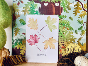 NATURE CARDS
