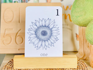 BLACK AND WHITE NATURE NUMBER CARDS