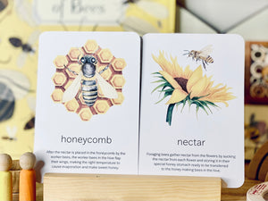 BEES AND HONEY CARDS