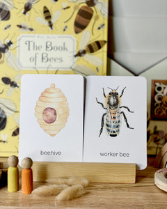 LIFE OF HONEY BEE CARDS