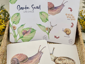 LIFECYCLE OF A SNAIL CARDS