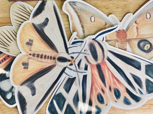 LARGE MOTH CUT OUTS