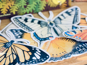 LARGE BUTTERFLY CUT OUTS