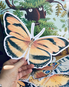 LARGE BUTTERFLY CUT OUTS