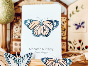 TROPICAL BUTTERFLY SPECIES CARDS
